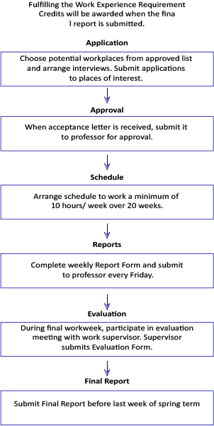 Graph Writing # 110 - Process in completing work experience for university  students