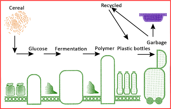Life cycle of plastic